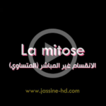 mitose
