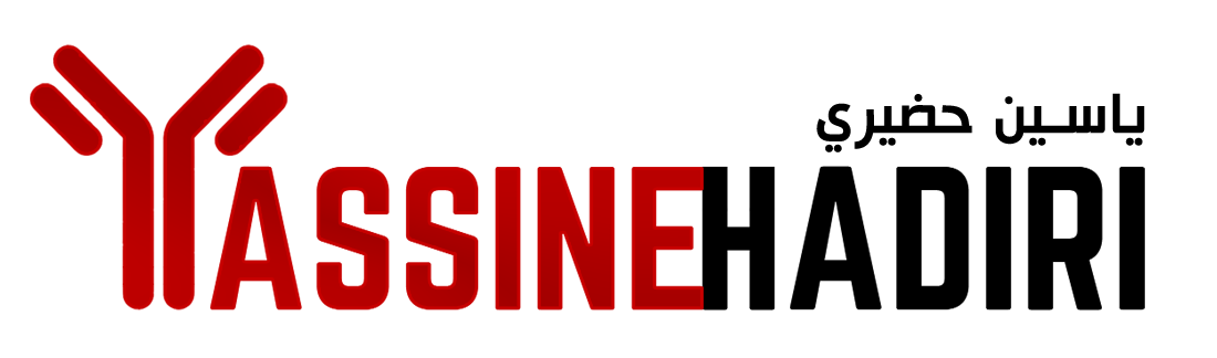 Yassine HADIRI