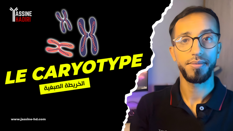 Le Caryotype (Video)