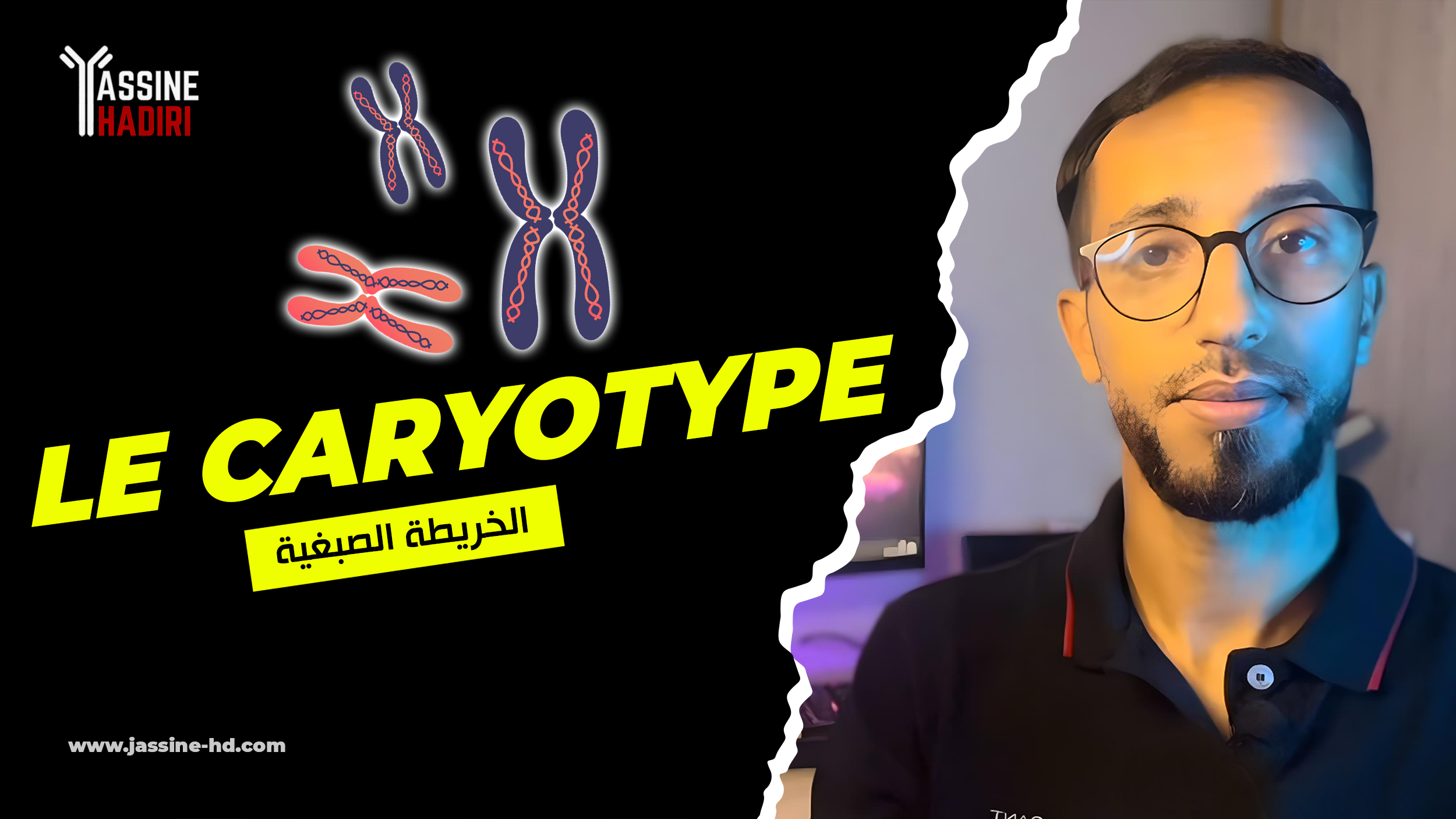 Caryotype