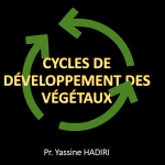 cyclesvegetale