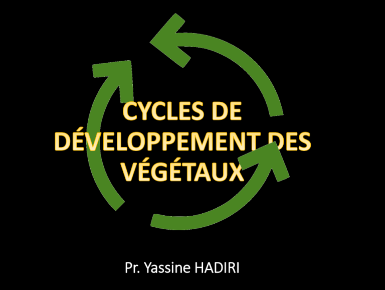 Cycles de developpement vegetales