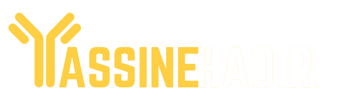 Yassine HADIRI