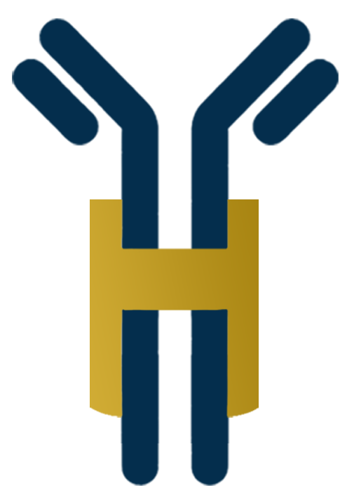 Yassine HADIRI