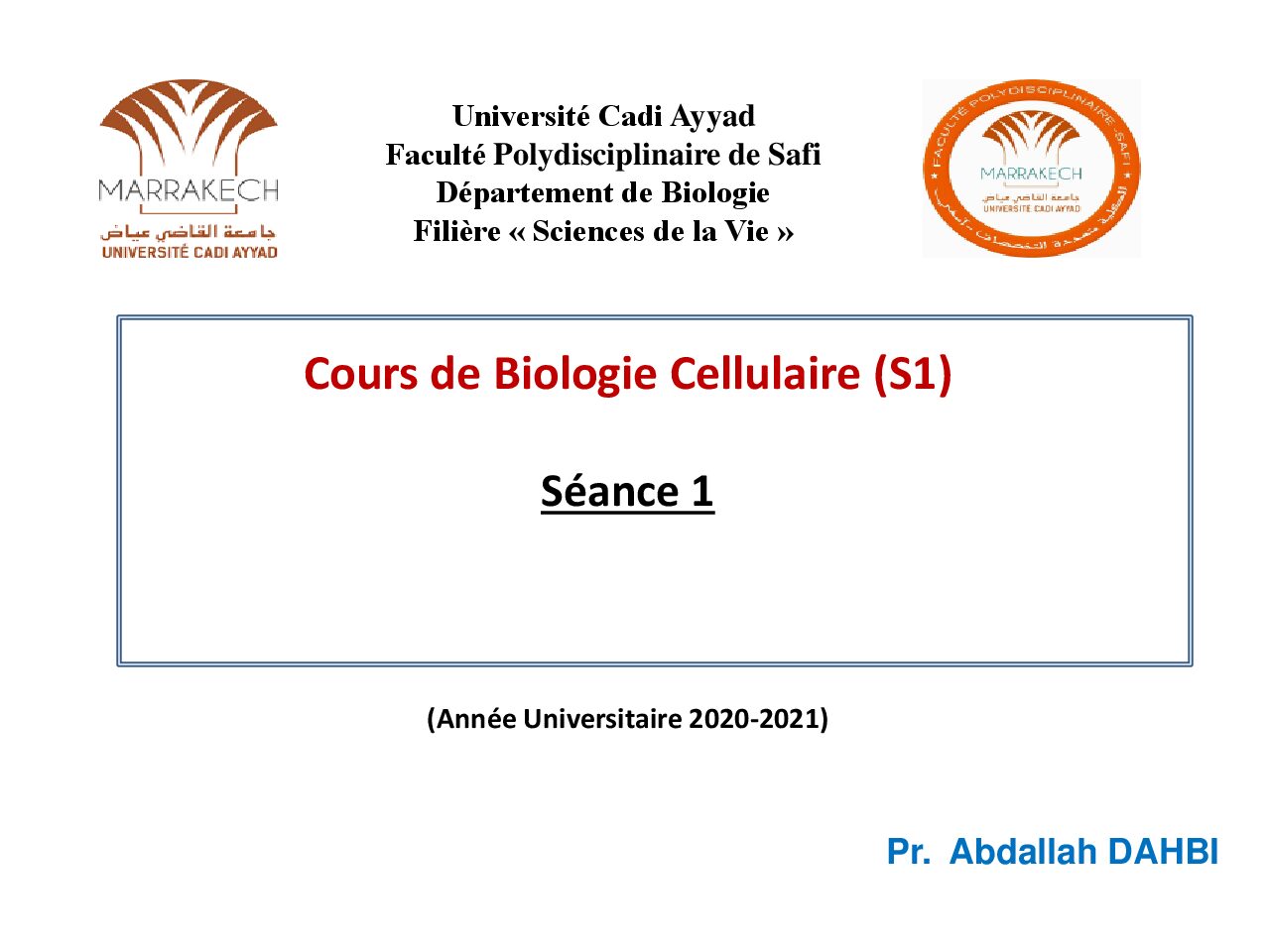 S1-BC-Invertebres