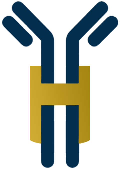 Yassine HADIRI